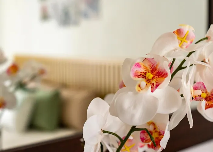 Center - Sonnino House Apartment
