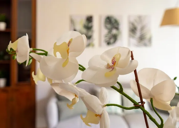 Center - Sonnino House Apartment